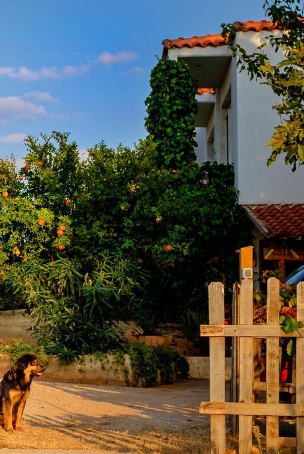 Vineyard Country House With Panoramic Seaview Александруполис Екстериор снимка