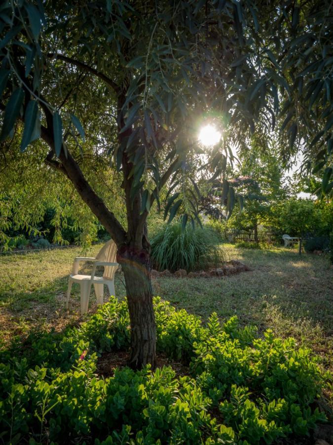 Vineyard Country House With Panoramic Seaview Александруполис Екстериор снимка