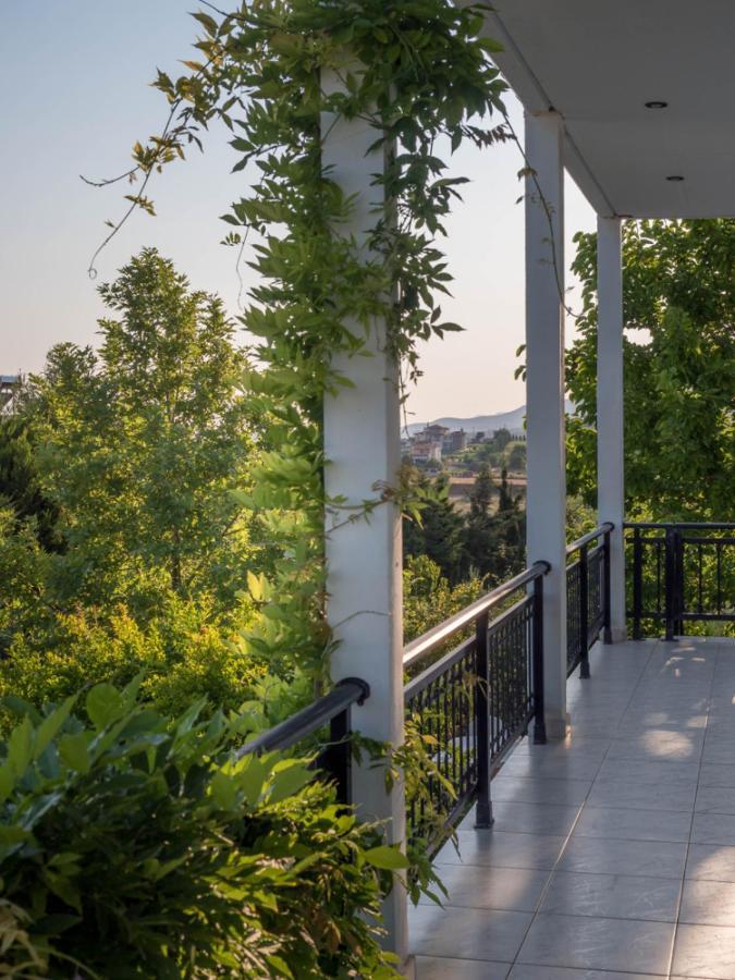 Vineyard Country House With Panoramic Seaview Александруполис Екстериор снимка