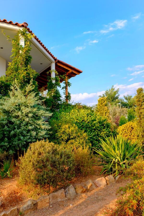 Vineyard Country House With Panoramic Seaview Александруполис Екстериор снимка